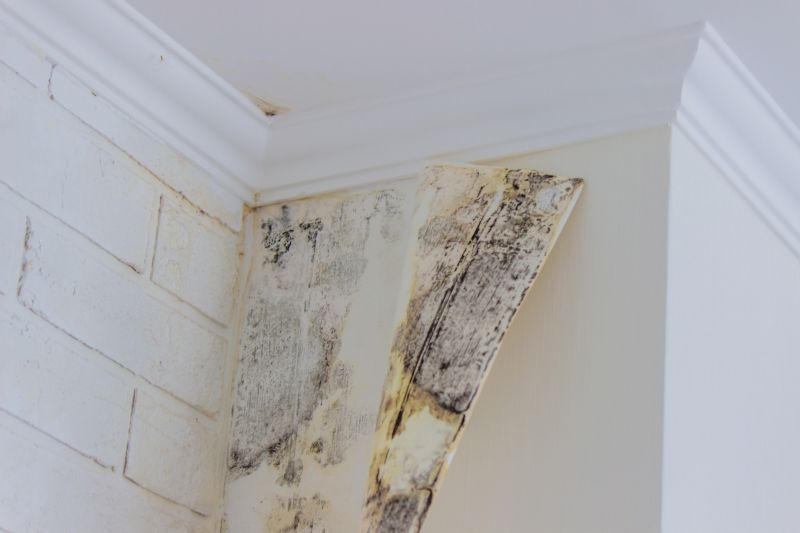 Removing Wallpaper in Winter